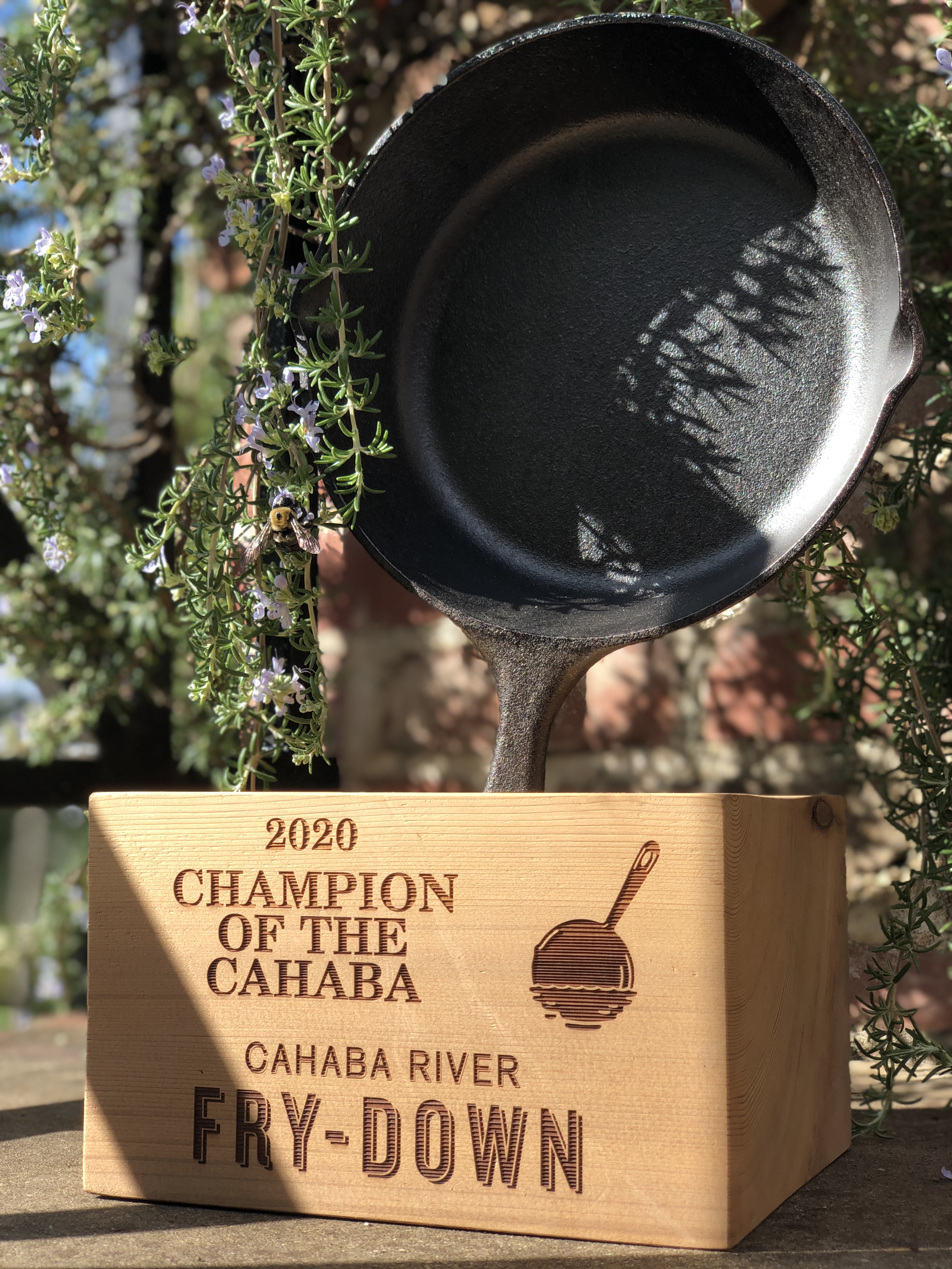 Cahaba River Fry-Down Festival